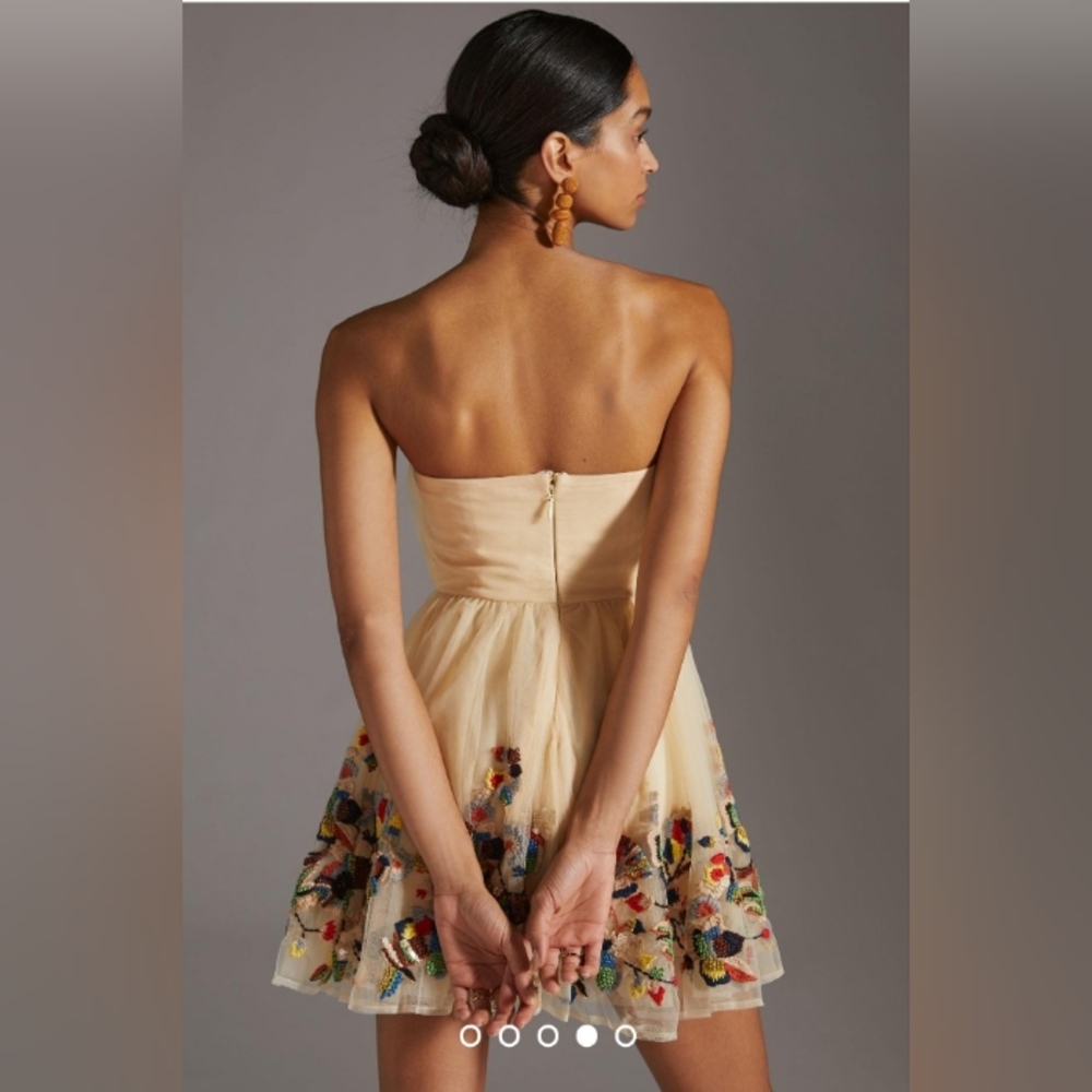 NWT Nikita Mhaisalkar Beige Beaded Embroidered Dress Size 4 ANTHROPOLOGIE - Picture 2 of 11